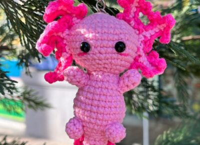 photo_2024-02-11 15.43.02