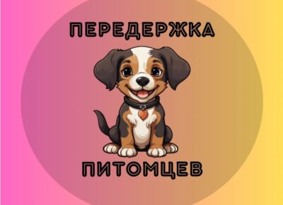 photo_2024-02-13 19.42.43