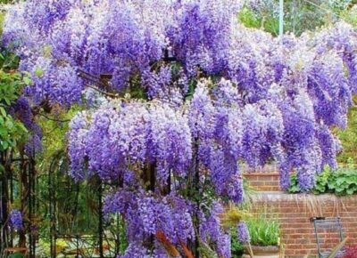 d5uivzyu1drh-inbound7622584930368037494